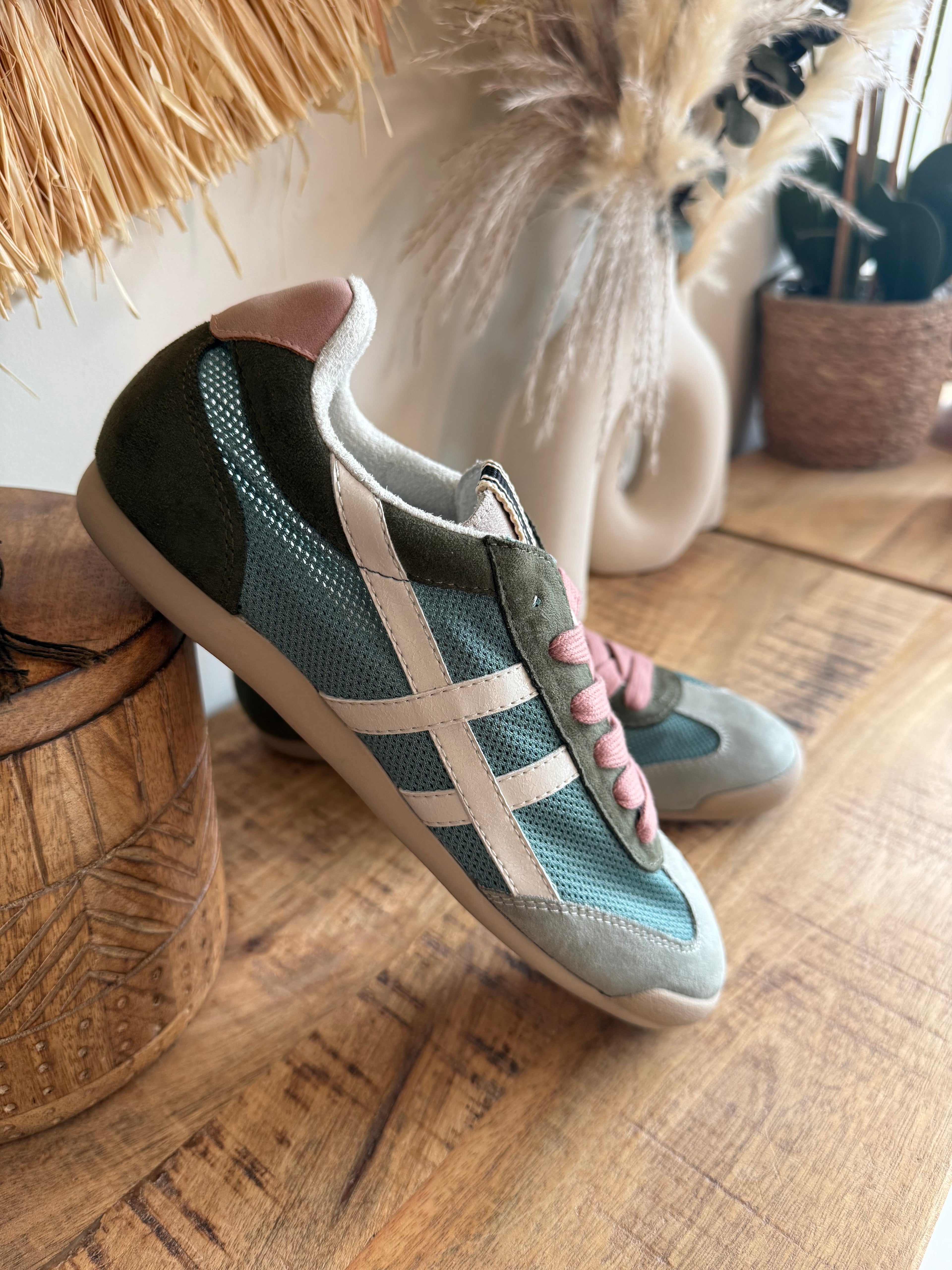Bambas Siena